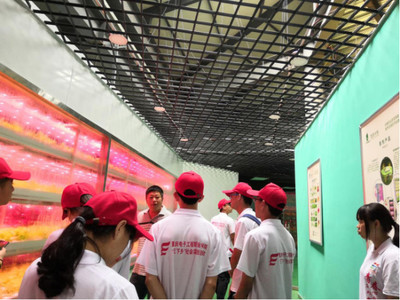 心系三農，讓農業插上科技的翅膀——網絡工程賦能現代農業發展